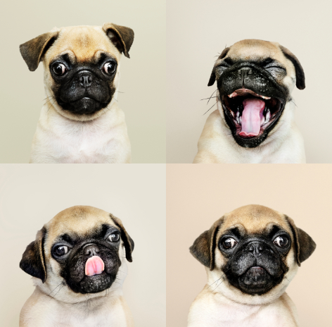 Vesoul, Pontarlier, Morteau, Montbéliard