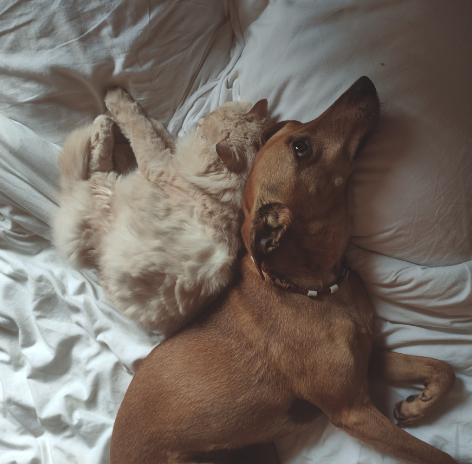 Arbois, Champagnole, Poligny, Lons le Saunier