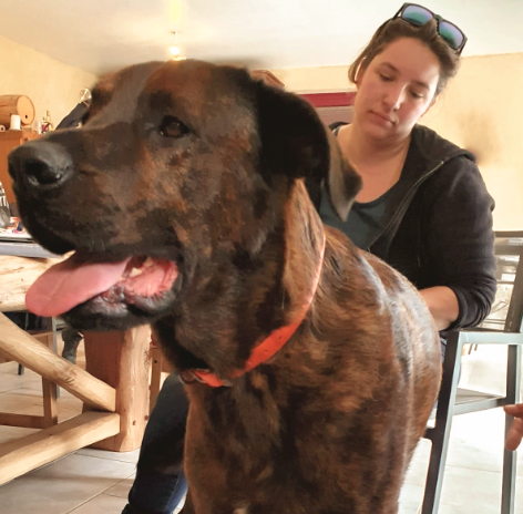 Le Russey, la Chaux de Fonds, Porrentruy, Neuchâtel, Dole, Arc et Senans, Arbois, Champagnole, Poligny, Lons le Saunier