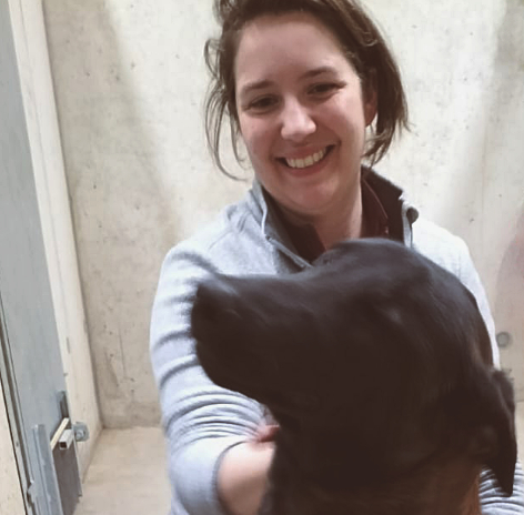 Chien, chat, cheval, lapin, hamster, chinchilla, oiseau, rat