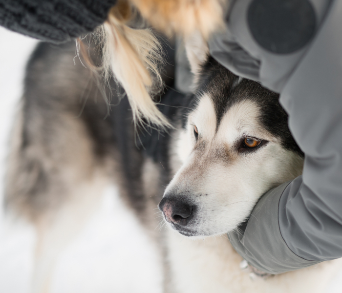 Ornans, Marnay, Gray, Sancey, Rioz, Villersexel