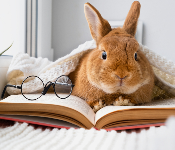 L’Isle sur le Doubs, Pont de Roide, Maiche, Pierrefontaine