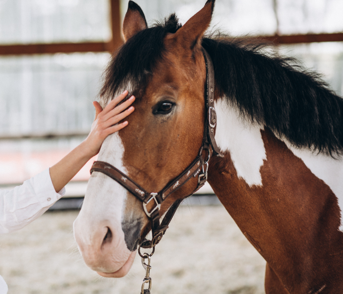 Baume les Dames, Luxeuil les Bains, Lure, Valdahon