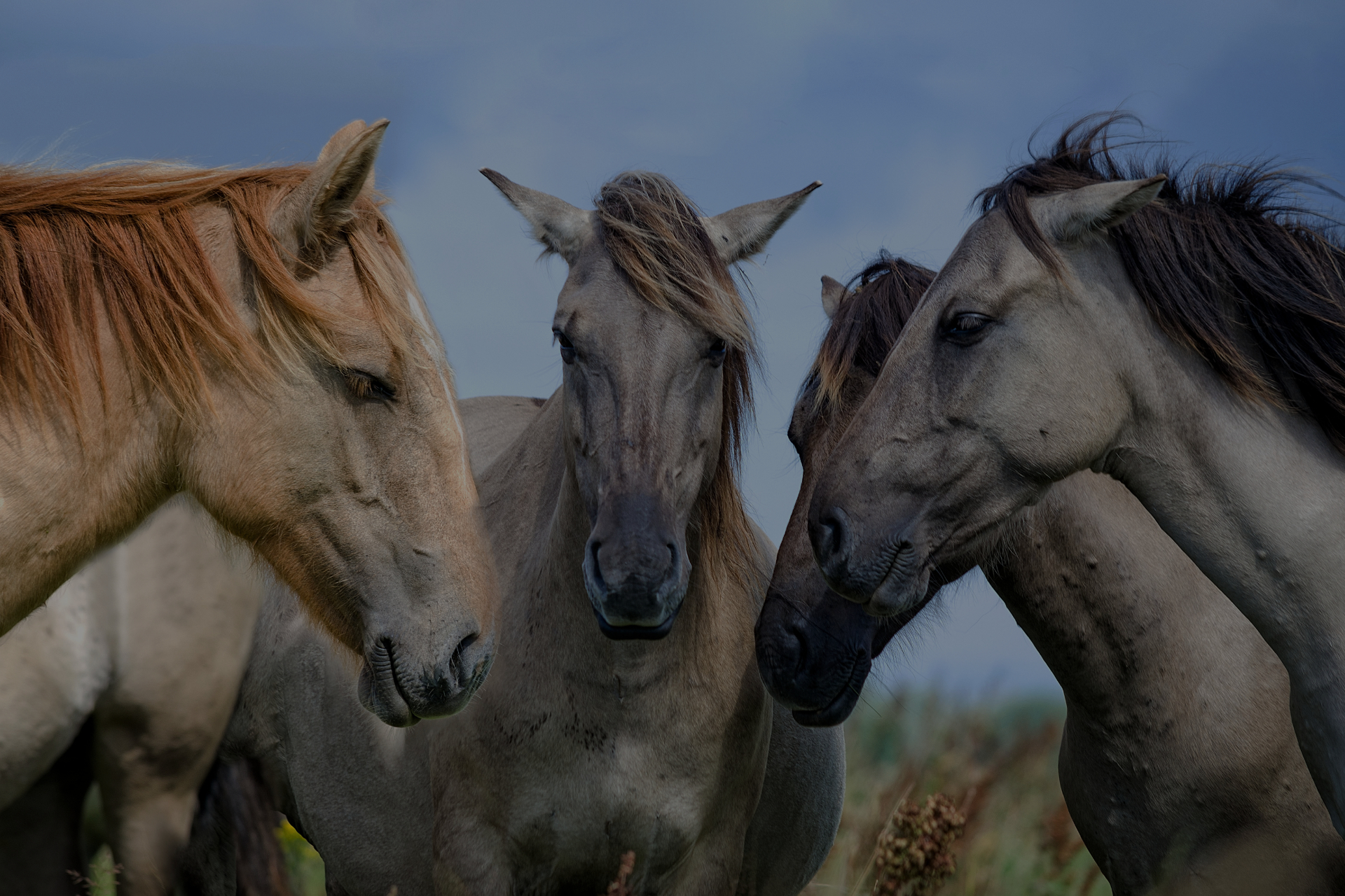 Doubs, Jura, Haute Saône, Territoire de Belfort, Besançon
